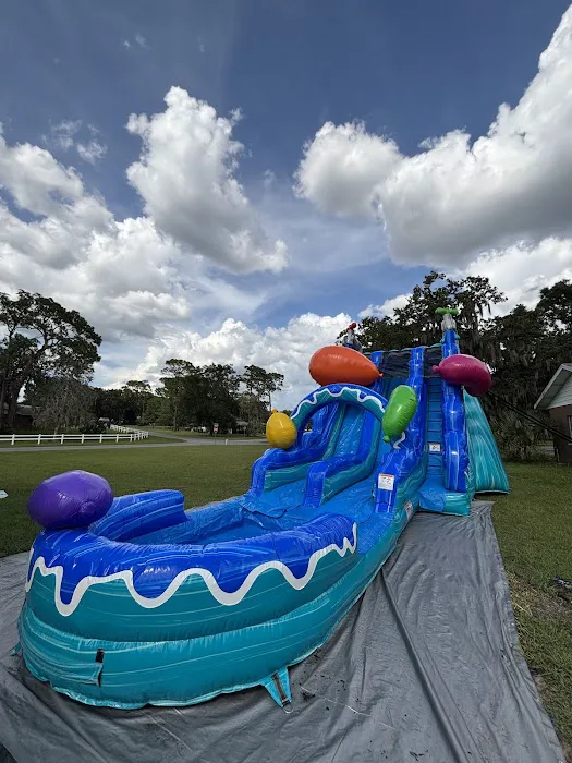 The Bounce House Kings LLC Picture 4
