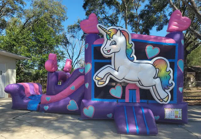 The Bounce House Kings LLC Picture 6
