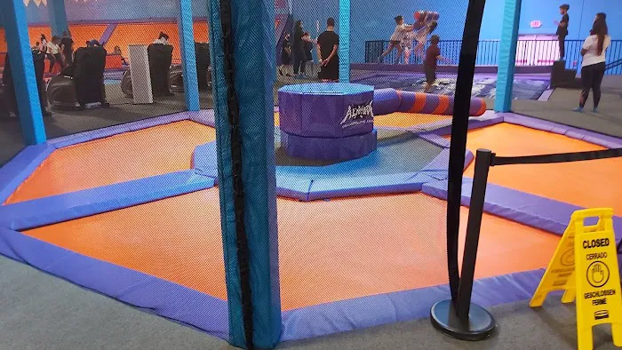 Altitude Trampoline Park Picture 6