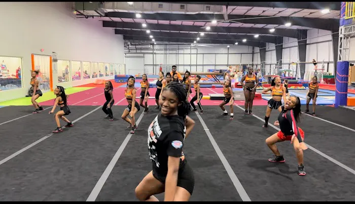Flight Gymnastics Picture 1