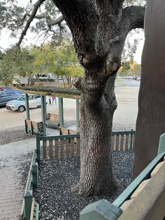 Paradise Park Picture 4