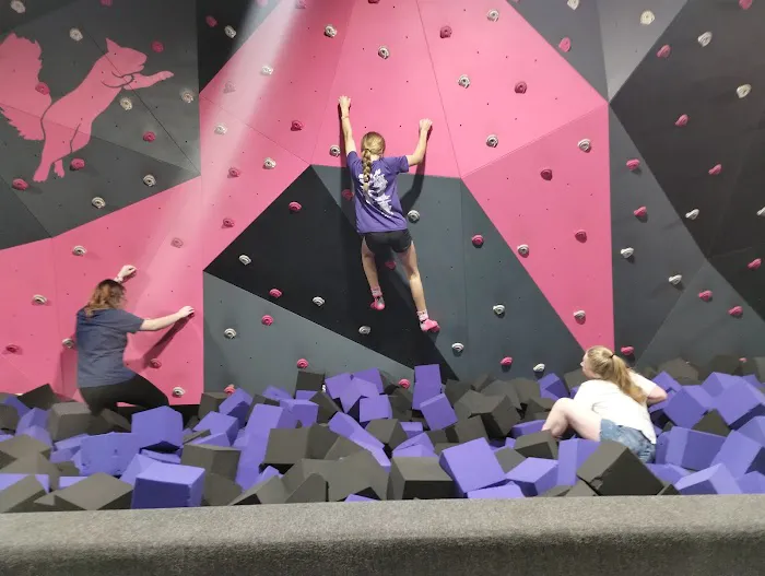 Flying Squirrel Trampoline Park Picture 3