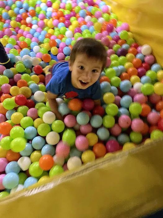 Bounce Zone Tampa Picture 10