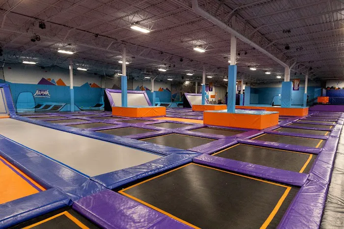 Altitude Trampoline Park Tampa Picture 2