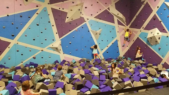Altitude Trampoline Park Tampa Picture 3