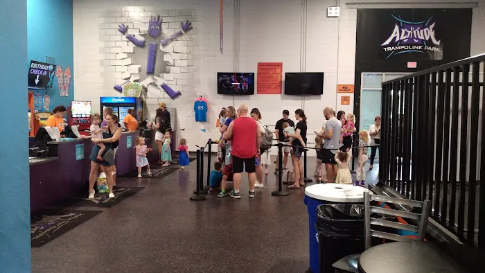 Altitude Trampoline Park Tampa Picture 7