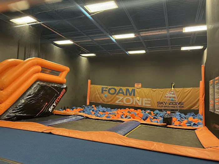 Sky Zone Trampoline Park Picture 6