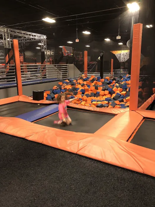 Summer Camp at Sky Zone Clearwater/Largo Picture 2
