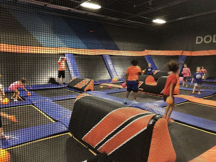 Summer Camp at Sky Zone Clearwater/Largo Picture 5
