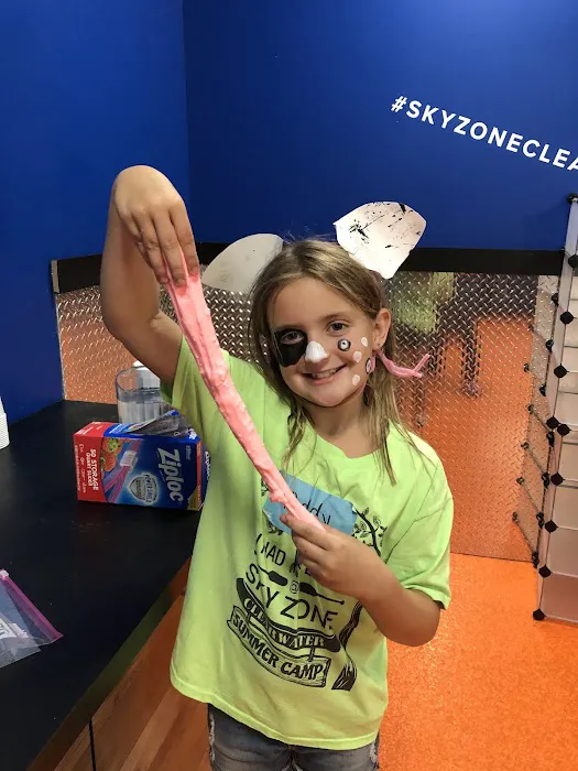 Summer Camp at Sky Zone Clearwater/Largo Picture 8