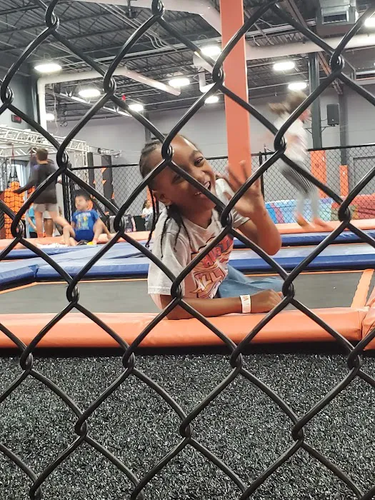 Sky Zone Trampoline Park Picture 3