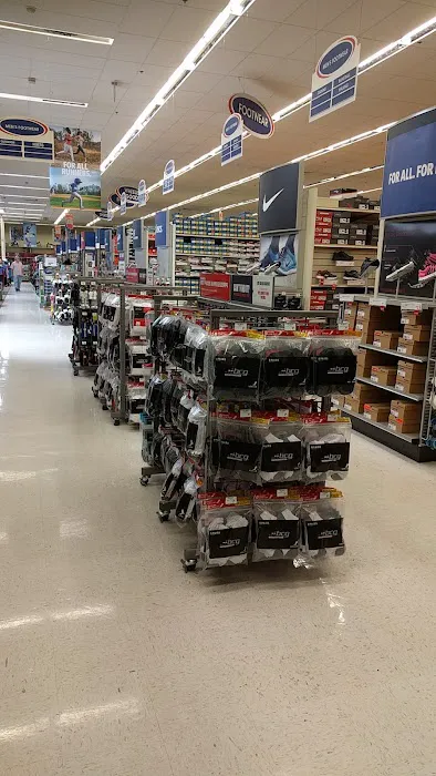 Academy Sports + Outdoors Picture 7