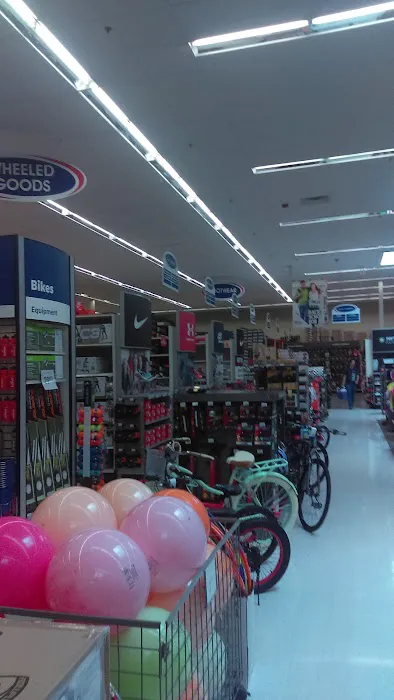 Academy Sports + Outdoors Picture 8