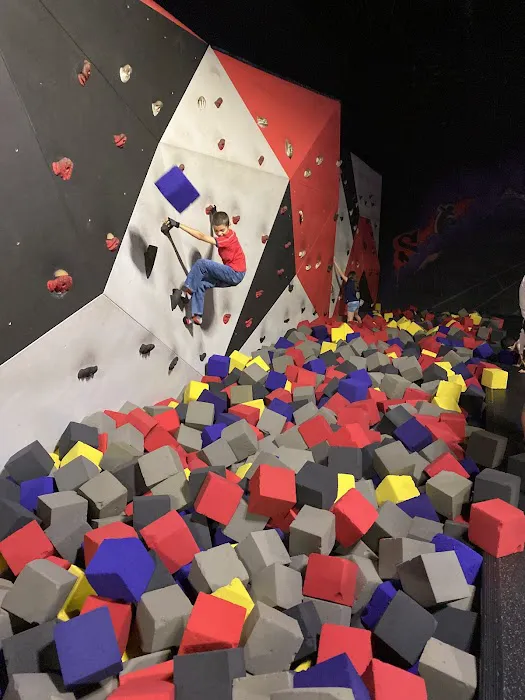 Sky Zone Trampoline Park Picture 8