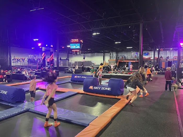 Sky Zone Trampoline Park Picture 1