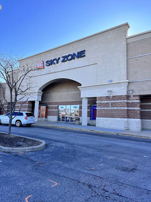 Sky Zone Trampoline Park Picture 7