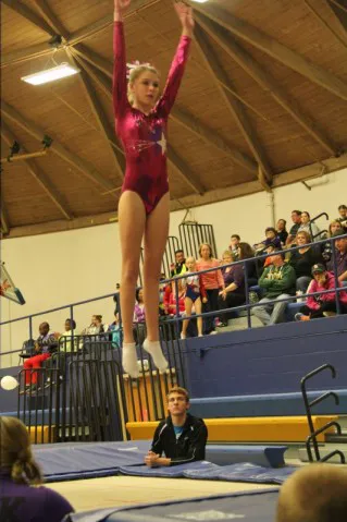 GymStars, LLC Picture 3