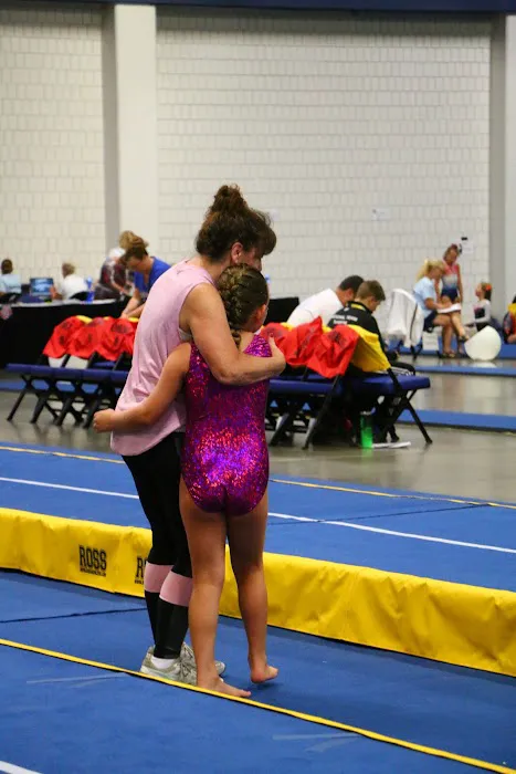 GymStars, LLC Picture 4