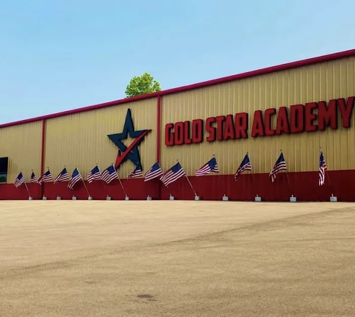 Gold Star Academy Picture 5
