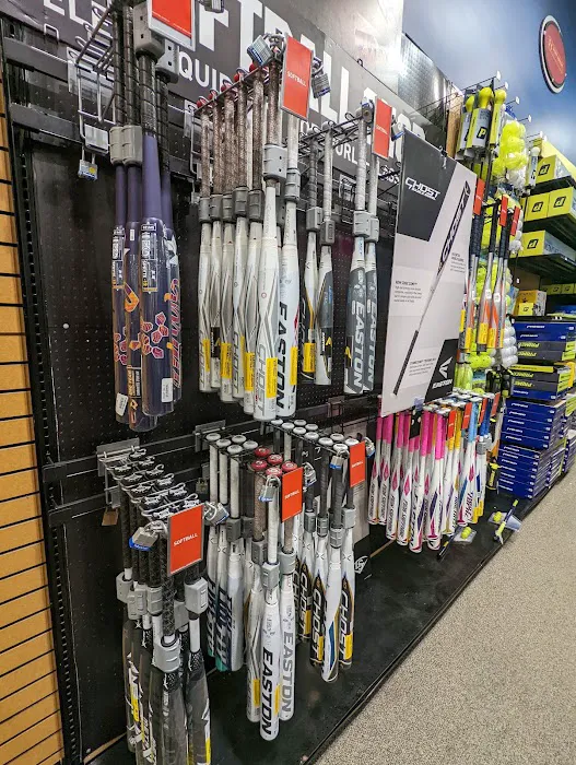 DICK'S Sporting Goods Picture 6