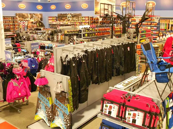 DICK'S Sporting Goods Picture 6