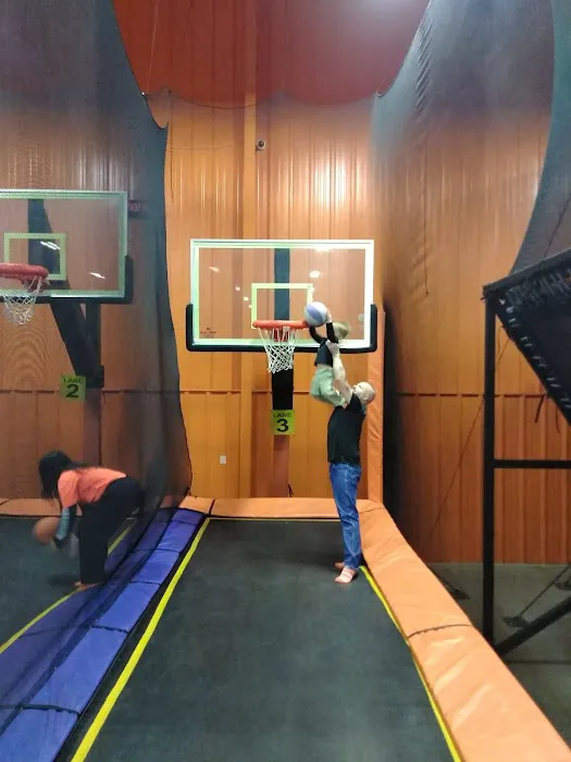 Sky Zone Clifton Park Picture 2