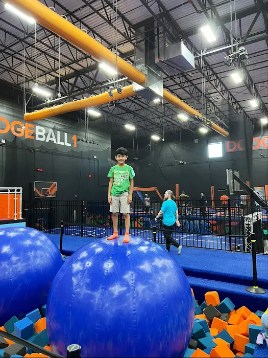 Sky Zone Trampoline Park Picture 1