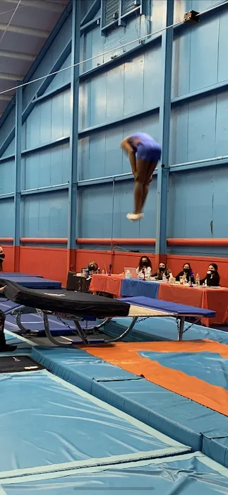 CAVU Trampoline & Tumbling Picture 10