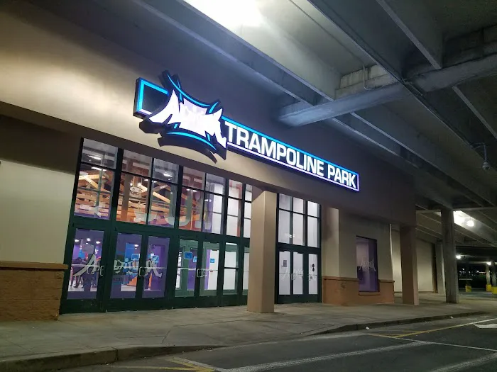 Altitude Trampoline Park Picture 10