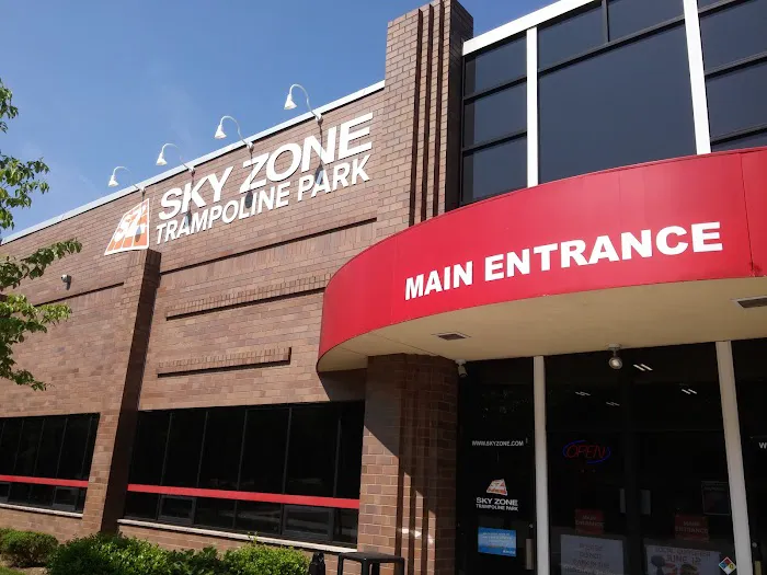 Sky Zone Trampoline Park Picture 1