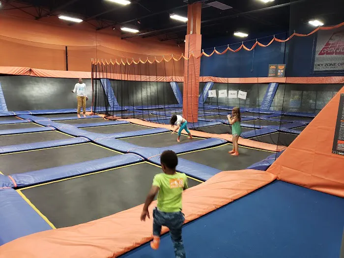 Sky Zone Trampoline Park Picture 10