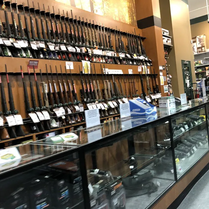 DICK'S Sporting Goods Picture 5