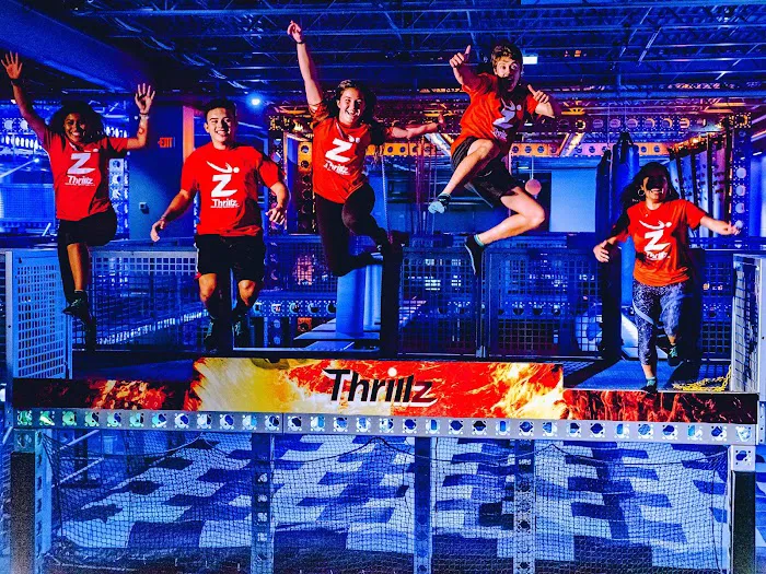 Thrillz High Flying Adventure Park — CT's #1 Extreme Adrenaline Park + ARCADE Picture 3