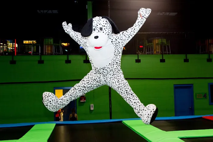 Jumpz Trampoline Sports Danbury (Formerly Bounce Danbury) Picture 1
