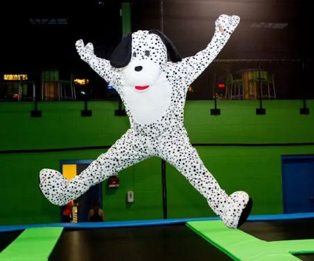 Jumpz Trampoline Sports Danbury (Formerly Bounce Danbury)