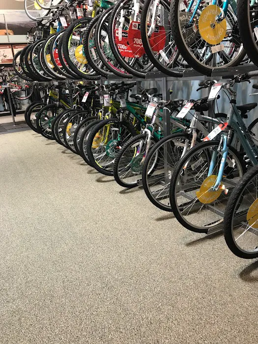 DICK'S Sporting Goods Picture 8