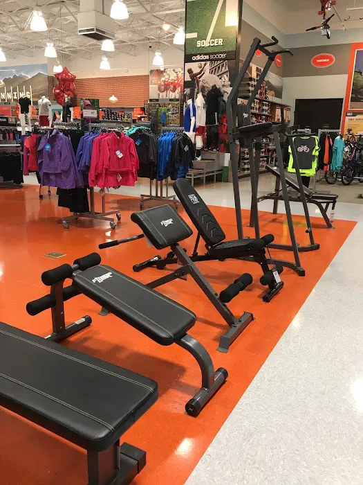 DICK'S Sporting Goods Picture 10
