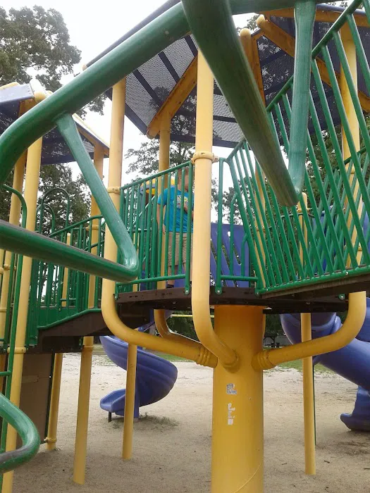 Braswell Community Center & Park Picture 2
