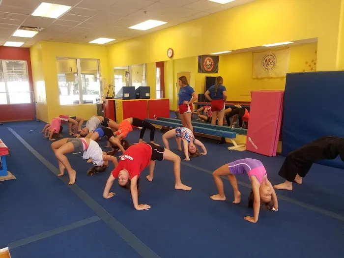 Scott Johnson's Tumble & Gymnastics Academy Picture 6