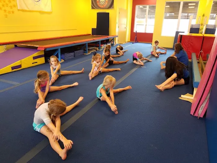 Scott Johnson's Tumble & Gymnastics Academy Picture 7