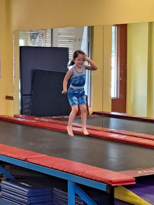 Scott Johnson's Tumble & Gymnastics Academy Picture 1