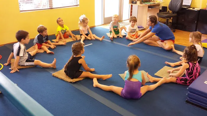 Scott Johnson's Tumble & Gymnastics Academy Picture 5