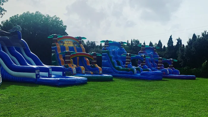 Bounce Party of Tampa Picture 10