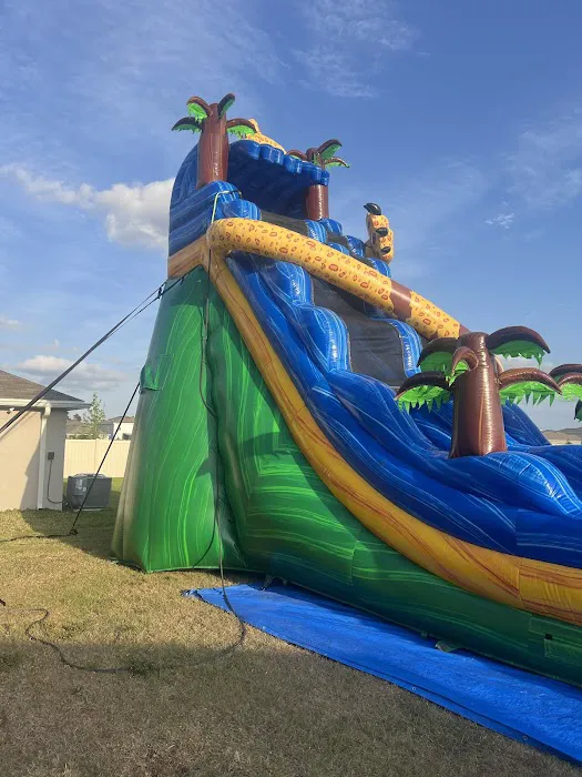 Bounce Party of Tampa Picture 3