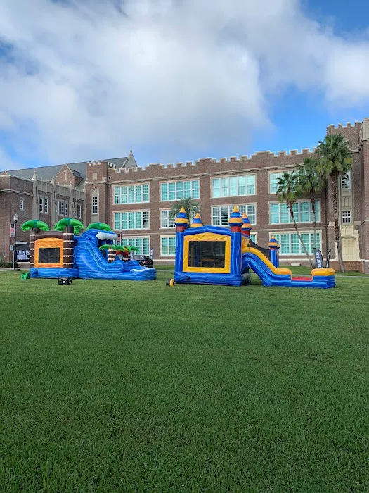 Bounce Party of Tampa Picture 4