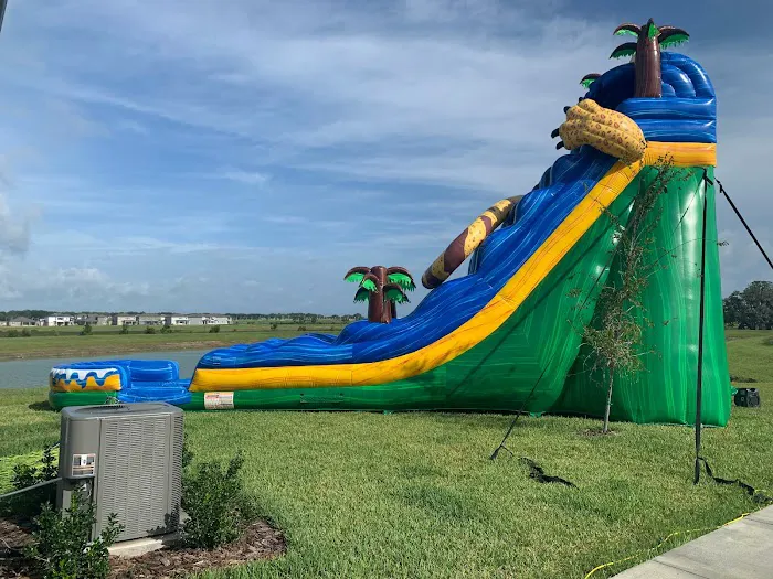Bounce Party of Tampa Picture 6