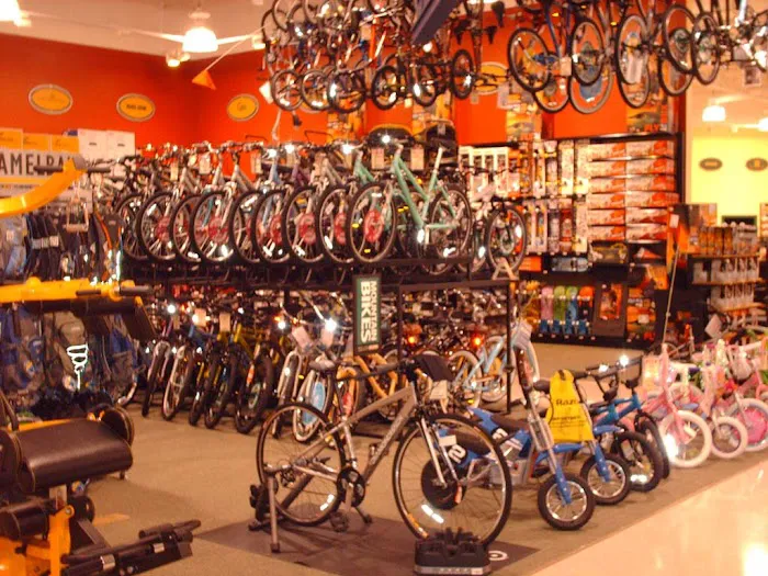 DICK'S Sporting Goods Picture 6
