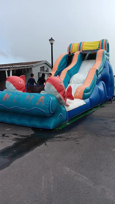 Bounce House Orlando Picture 1