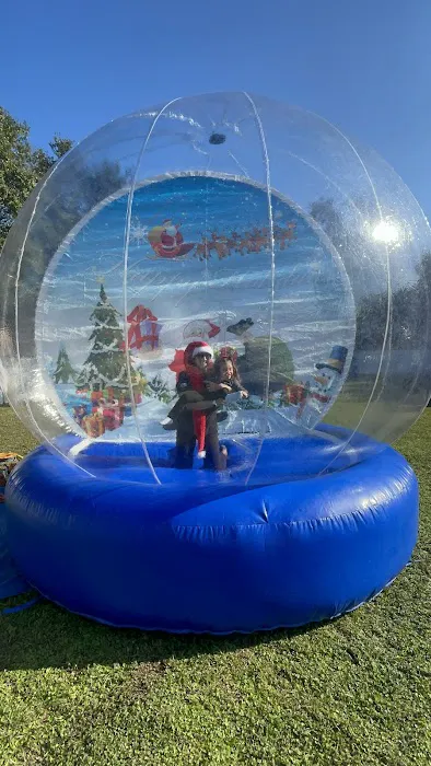 King Of Bounce Picture 3