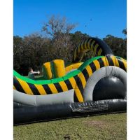 Leaping To fun ico
